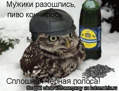 Мужики разошлись, пиво кончилось Сплошная чёрная полоса!... Котоматрица: Мужики разошлись, пиво кончилось Сплошная чёрная полоса!