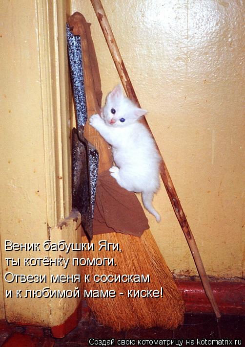 Котоматрица: Веник бабушки Яги,  ты котёнку помоги.  Отвези меня к сосискам  и к любимой маме - киске!