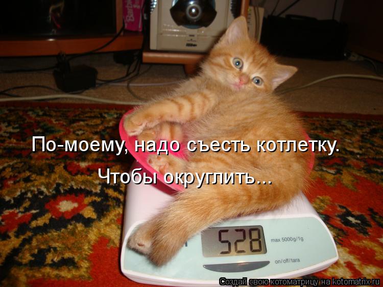По-моему, надо съесть котлетку. Чтобы округлить...... Котоматрица: По-моему, надо съесть котлетку. Чтобы округлить...