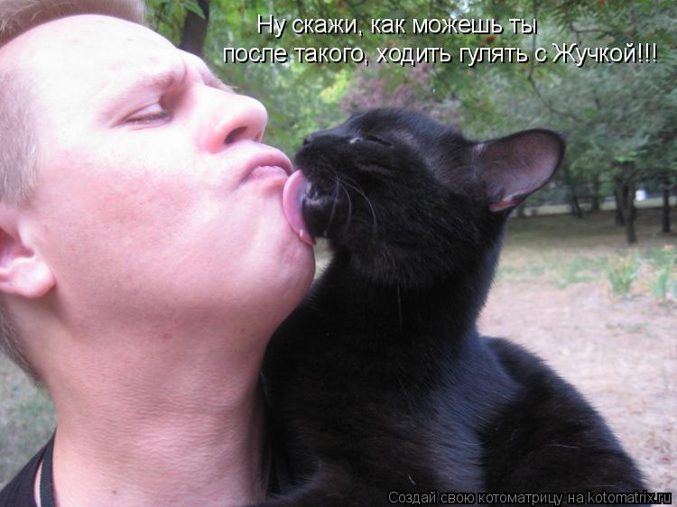 Ну скажи, как можешь ты после такого, ходить гулять с Жучкой!!!... Котоматрица: Ну скажи, как можешь ты после такого, ходить гулять с Жучкой!!!