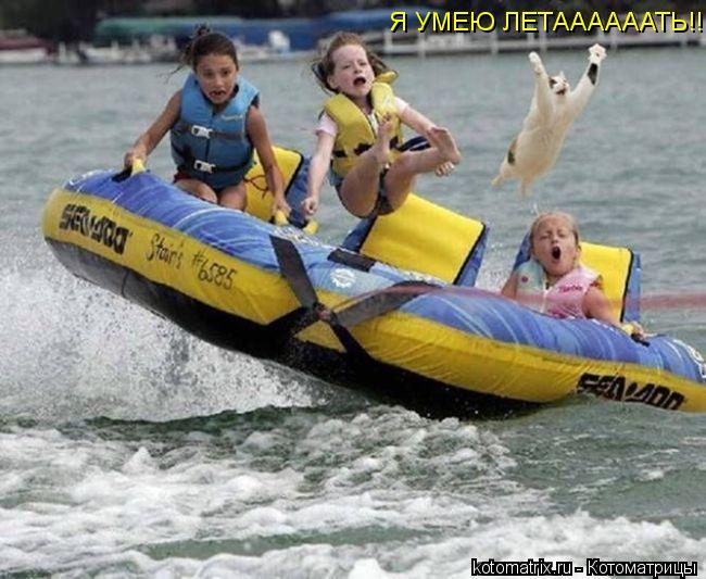 Я УМЕЮ ЛЕТААААААТЬ!!!!!!!... Котоматрица: Я УМЕЮ ЛЕТААААААТЬ!!!!!!!