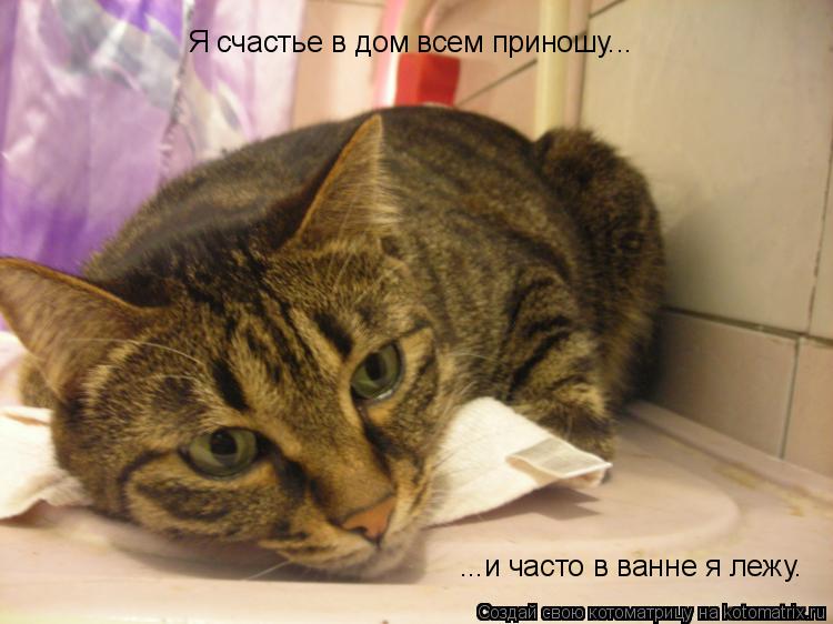 Я счастье в дом всем приношу... ...и часто в ванне я лежу.... Котоматрица: Я счастье в дом всем приношу... ...и часто в ванне я лежу.