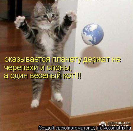 оказывается планету держат не черепахи и слоны, а один веселый кот!!!... Котоматрица: оказывается планету держат не черепахи и слоны, а один веселый кот!!!