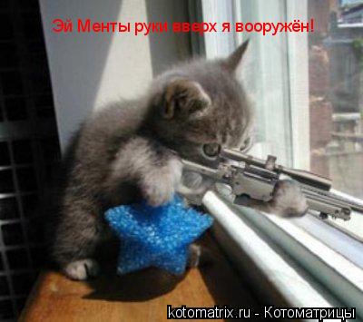 Эй Менты руки вверх я вооружён!... Котоматрица: Эй Менты руки вверх я вооружён!