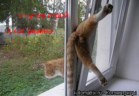 я супер герой я кот резина... Котоматрица: я супер герой я кот резина