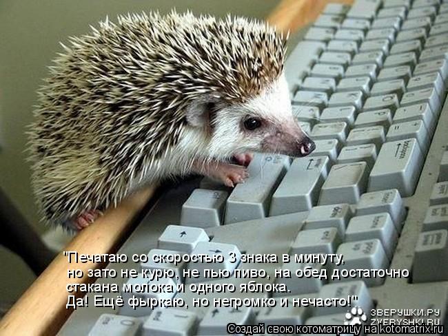 "Печатаю со скоростью 3 знака в минуту, но зато не курю, не пью пиво, на обед достаточно стакана моло... Котоматрица: "Печатаю со скоростью 3 знака в минуту, но зато не курю, не пью пиво, на обед достаточно стакана молока и одного яблока. Да! Ещё фыркаю, но негр