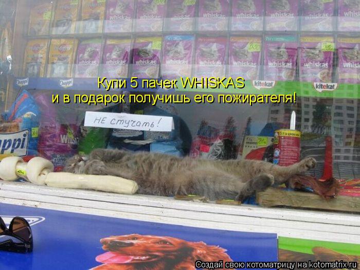 Купи 5 пачек WHISKAS и в подарок получишь его пожирателя!... Котоматрица: Купи 5 пачек WHISKAS и в подарок получишь его пожирателя!