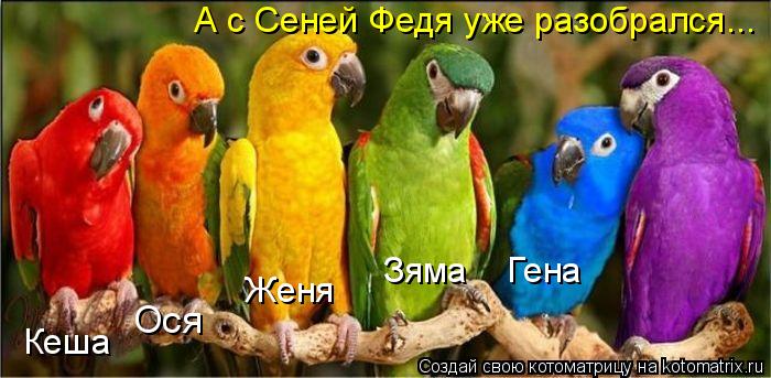 Ося Кеша Женя Зяма Гена А с Сеней Федя уже разобрался...... Котоматрица: Ося Кеша Женя Зяма Гена А с Сеней Федя уже разобрался...