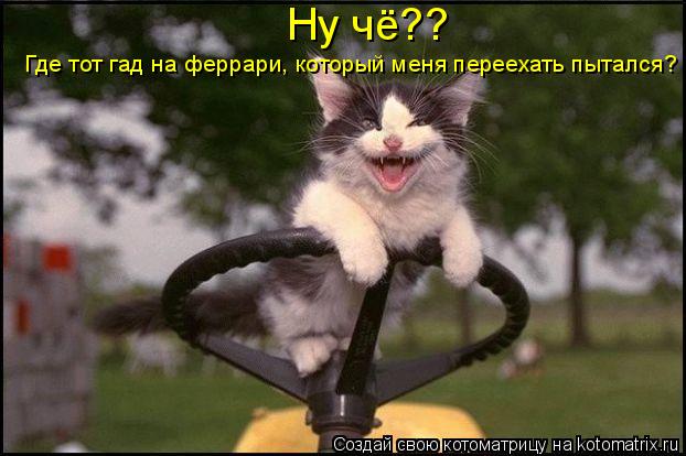Ну чё?? Где тот гад на феррари, который меня переехать пытался?... Котоматрица: Ну чё?? Где тот гад на феррари, который меня переехать пытался?