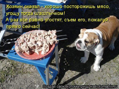 прямо сейчас! А раз все равно угостят, съем его, пожалуй, угощу тогда шашлычком! Хозяин сказал - хоро... Котоматрица: прямо сейчас! А раз все равно угостят, съем его, пожалуй, угощу тогда шашлычком! Хозяин сказал - хорошо посторожишь мясо,