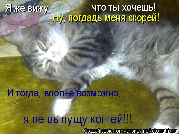 Я же вижу, что ты хочешь! Ну, погдадь меня скорей! И тогда, вполне возможно, я не выпущу когтей!!!... Котоматрица: Я же вижу, что ты хочешь! Ну, погдадь меня скорей! И тогда, вполне возможно, я не выпущу когтей!!!