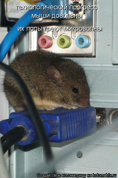 технологический прогресс мыши довольны их попы греют микроволны... Котоматрица: технологический прогресс мыши довольны их попы греют микроволны
