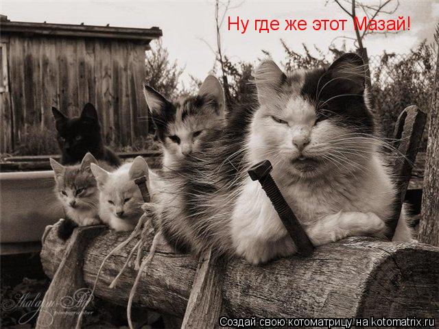 Ну где же этот Мазай!... Котоматрица: Ну где же этот Мазай!