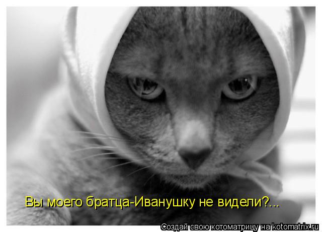 Вы моего братца-Иванушку не видели?...... Котоматрица: Вы моего братца-Иванушку не видели?...
