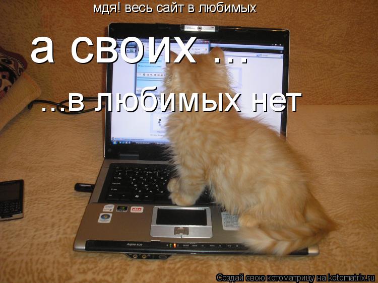 мдя! весь сайт в любимых а своих ... ...в любимых нет... Котоматрица: мдя! весь сайт в любимых а своих ... ...в любимых нет