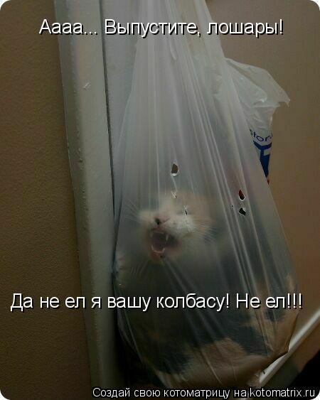 Аааа... Выпустите, лошары! Да не ел я вашу колбасу! Не ел!!!... Котоматрица: Аааа... Выпустите, лошары! Да не ел я вашу колбасу! Не ел!!!