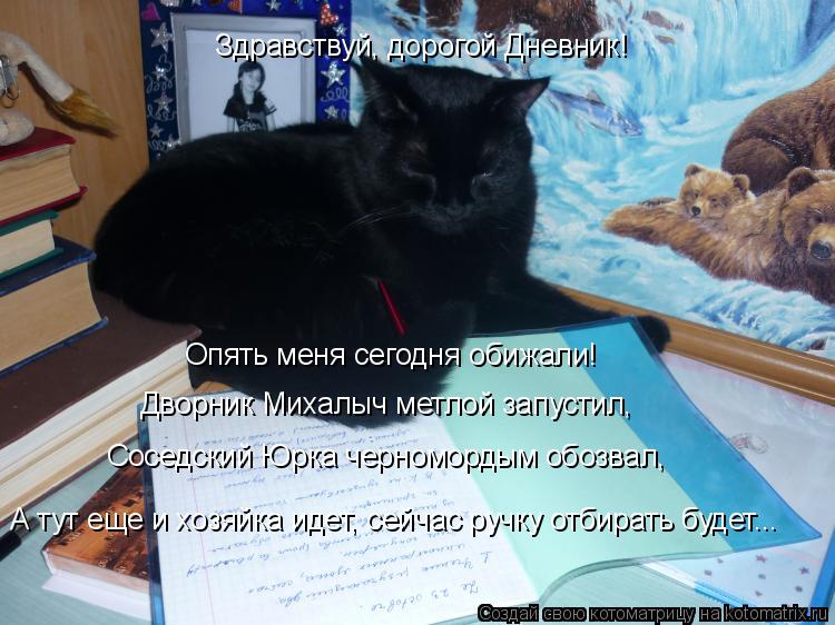 Котоматрица: Здравствуй, дорогой Дневник! Опять меня сегодня обижали! Дворник Михалыч метлой запустил, Соседский Юрка черномордым обозвал, А тут еще и х