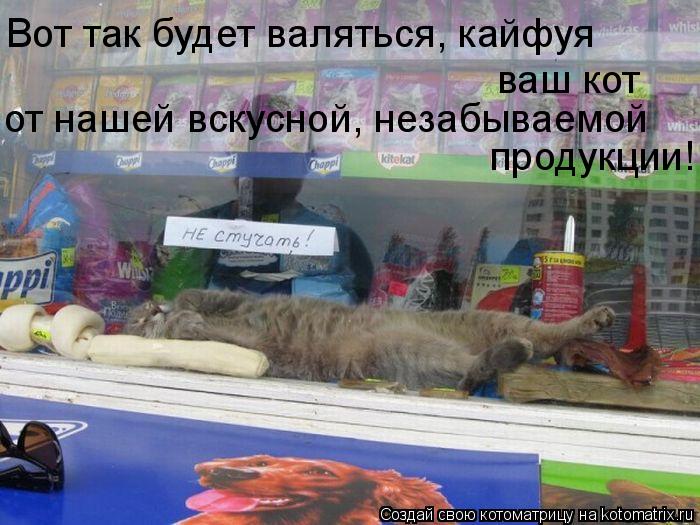 Вот так будет валяться, кайфуя ваш кот от нашей вскусной, незабываемой продукции!... Котоматрица: Вот так будет валяться, кайфуя ваш кот от нашей вскусной, незабываемой продукции!