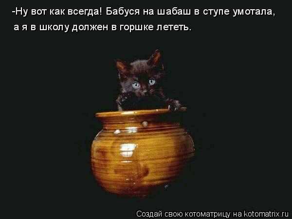 Котоматрица: -Ну вот как всегда! Бабуся на шабаш в ступе умотала,  а я в школу должен в горшке лететь.