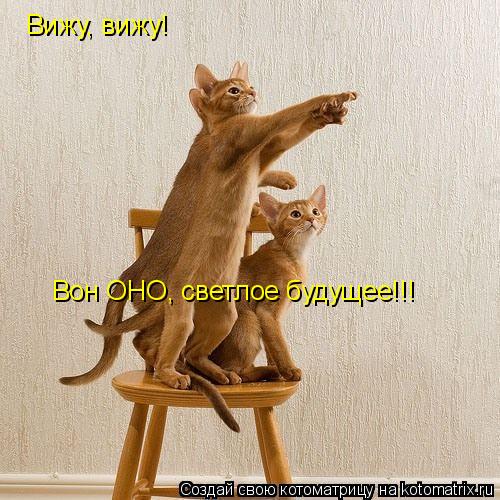 Вижу, вижу! Вон ОНО, светлое будущее!!!... Котоматрица: Вижу, вижу! Вон ОНО, светлое будущее!!!