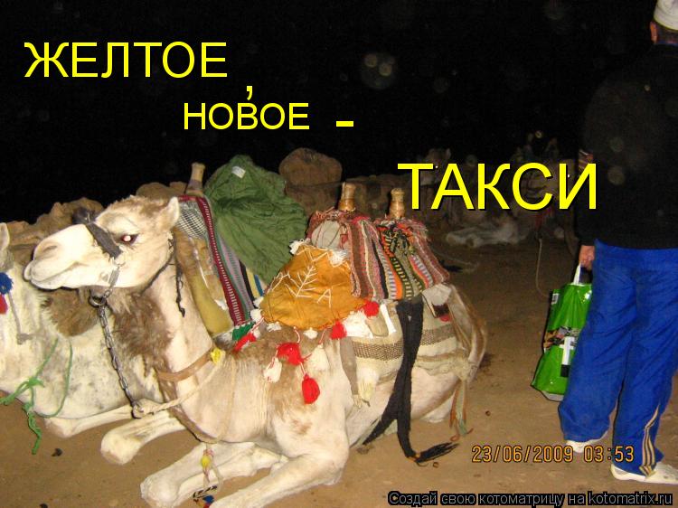 ЖЕЛТОЕ НОВОЕ ТАКСИ , -... Котоматрица: ЖЕЛТОЕ НОВОЕ ТАКСИ , -