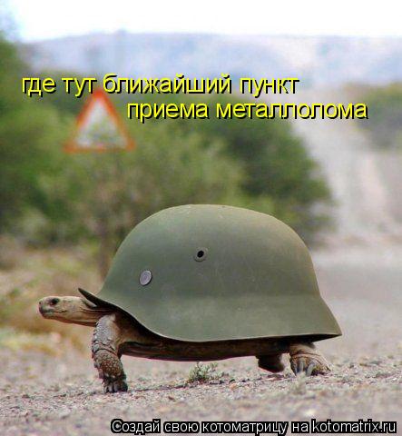 где тут ближайший пункт приема металлолома... Котоматрица: где тут ближайший пункт приема металлолома