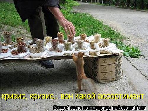 кризис, кризис.. вон какой ассортимент... Котоматрица: кризис, кризис.. вон какой ассортимент