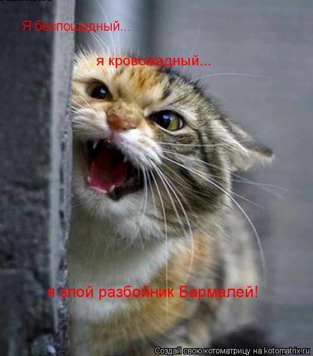 Я беспощадный... я кровожадный... я злой разбойник Бармалей!... Котоматрица: Я беспощадный... я кровожадный... я злой разбойник Бармалей!