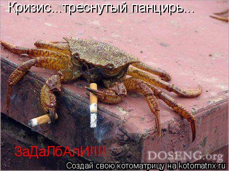 Кризис...треснутый панцирь... ЗаДаЛбАлИ!!!!... Котоматрица: Кризис...треснутый панцирь... ЗаДаЛбАлИ!!!!