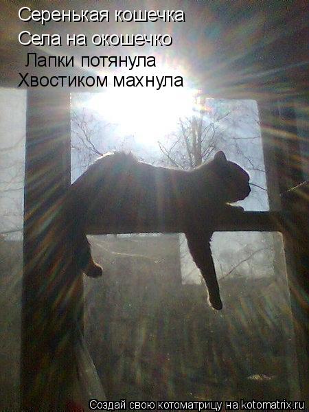Котоматрица: Серенькая кошечка Села на окошечко Лапки потянула Хвостиком махнула