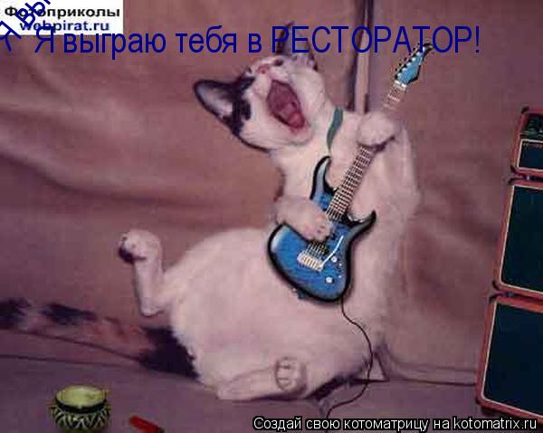 Котоматрица: Я выграю тебя в РЕСТОРАТОР! Я выграю тебя в РЕСТОРАТОР!
