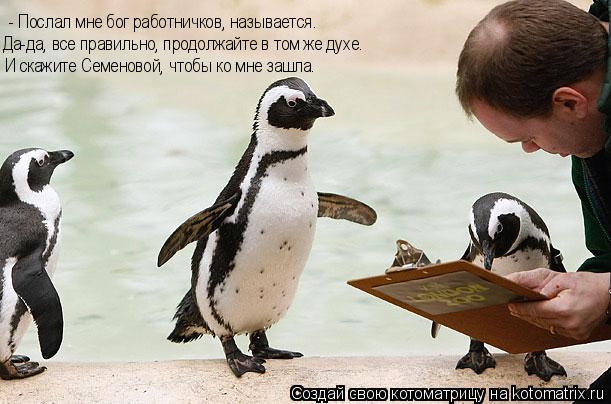 Котоматрица: - Послал мне бог работничков, называется. Да-да, все правильно, продолжайте в том же духе. И скажите Семеновой, чтобы ко мне зашла.