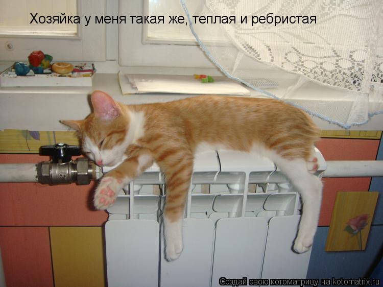 Котоматрица: Хозяйка у меня такая же, теплая и ребристая