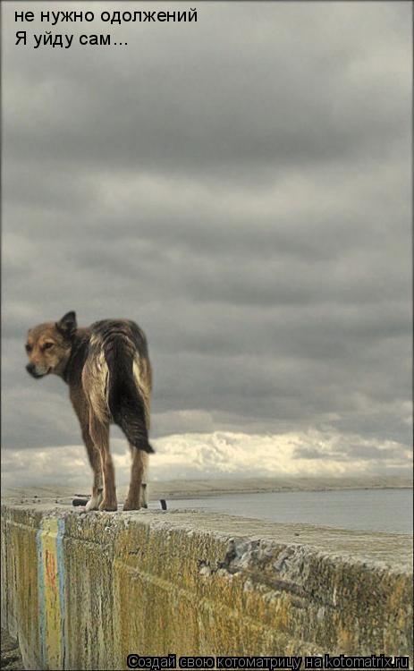 не нужно одолжений Я уйду сам...... Котоматрица: не нужно одолжений Я уйду сам...