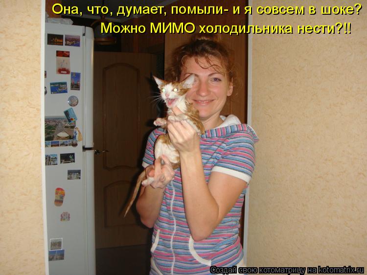 Котоматрица: Она, что, думает, помыли- и я совсем в шоке? Можно МИМО холодильника нести?!!