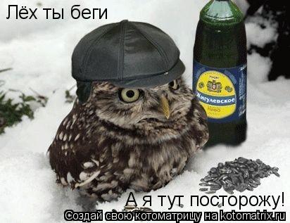 Лёх ты беги А я тут посторожу!... Котоматрица: Лёх ты беги А я тут посторожу!