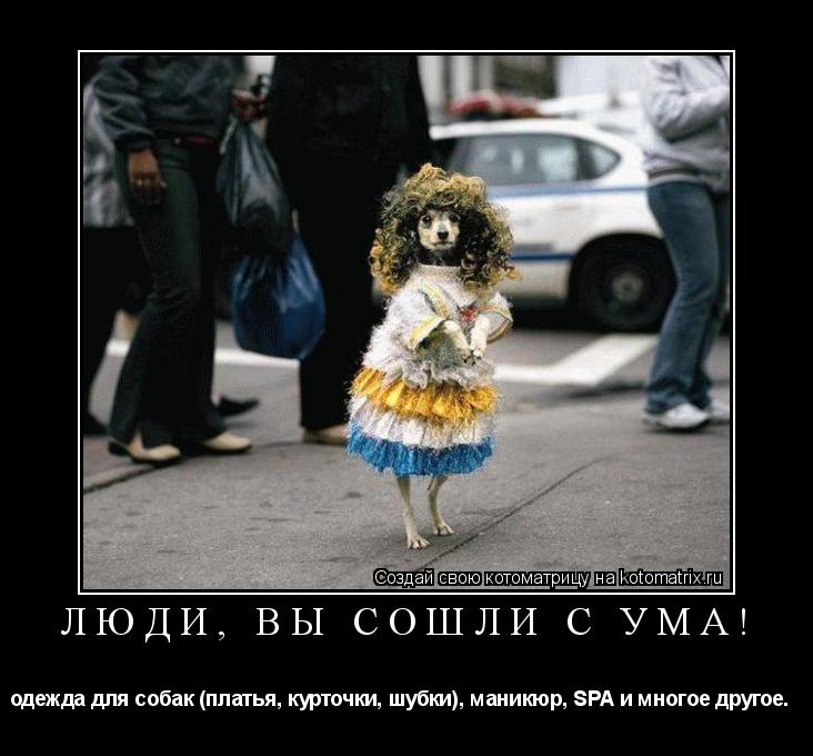 Люди, вы сошли с ума! одежда для собак (платья, курточки, шубки), маникюр, SPA и многое другое. ... Котоматрица: Люди, вы сошли с ума! одежда для собак (платья, курточки, шубки), маникюр, SPA и многое другое.