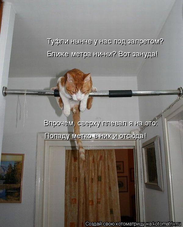 Туфли нынче у нас под запретом? Ближе метра ни-ни? Вот зануда! Впрочем, сверху плевал я на это: Попад... Котоматрица: Туфли нынче у нас под запретом? Ближе метра ни-ни? Вот зануда! Впрочем, сверху плевал я на это: Попаду метко в них и отсюда!