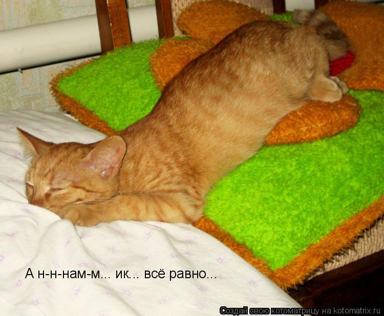 Котоматрица: А н-н-нам-м... ик... всё равно...