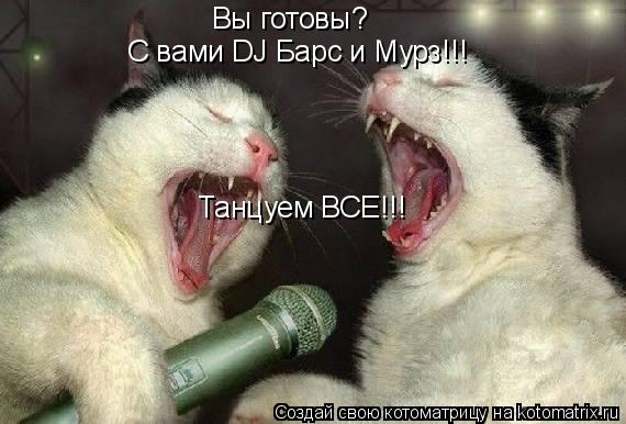Вы готовы? С вами DJ Барс и Мурз!!! Танцуем ВСЕ!!!... Котоматрица: Вы готовы? С вами DJ Барс и Мурз!!! Танцуем ВСЕ!!!