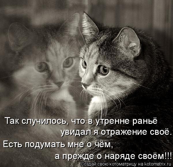 Котоматрица: Так случилось, что в утренне раньё увидал я отражение своё. Есть подумать мне о чём, а прежде о наряде своём!!!