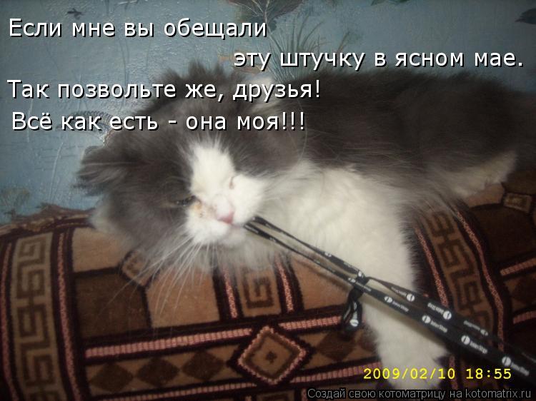 Котоматрица: Если мне вы обещали  эту штучку в ясном мае. Так позвольте же, друзья! Всё как есть - она моя!!!