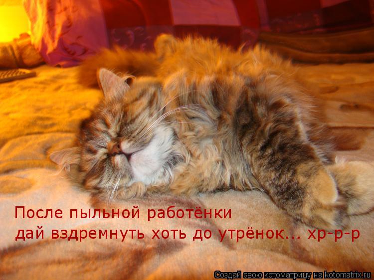 Котоматрица: После пыльной работёнки дай вздремнуть хоть до утрёнок... хр-р-р