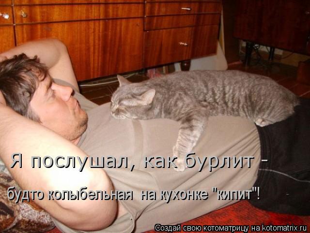 Котоматрица: Я послушал, как бурлит - будто колыбельная  на кухонке "кипит"!