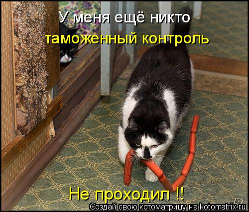 У меня ещё никто таможенный контроль Не проходил !!... Котоматрица: У меня ещё никто таможенный контроль Не проходил !!