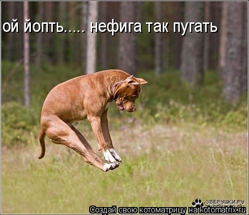 Котоматрица: ой йопть..... нефига так пугать