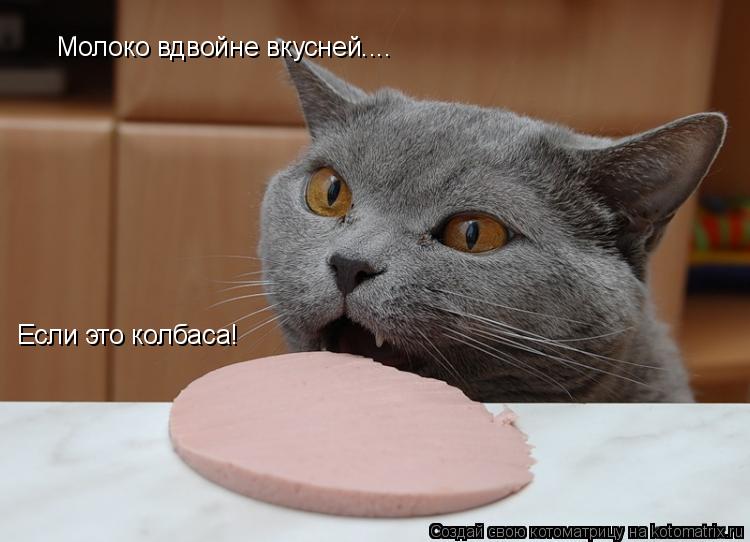 Котоматрица: Молоко вдвойне вкусней....  Молоко вдвойне вкусней....  Молоко вдвойне вкусней.... Если это колбаса!