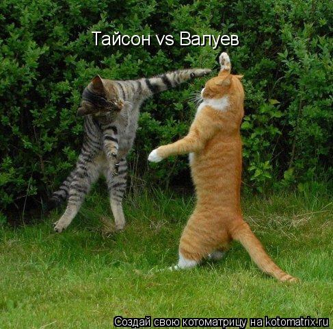 Котоматрица: Тайсон vs Валуев