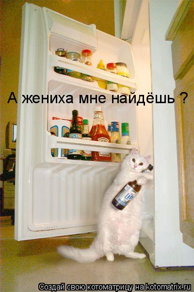 Котоматрица: А жениха мне найдёшь ?