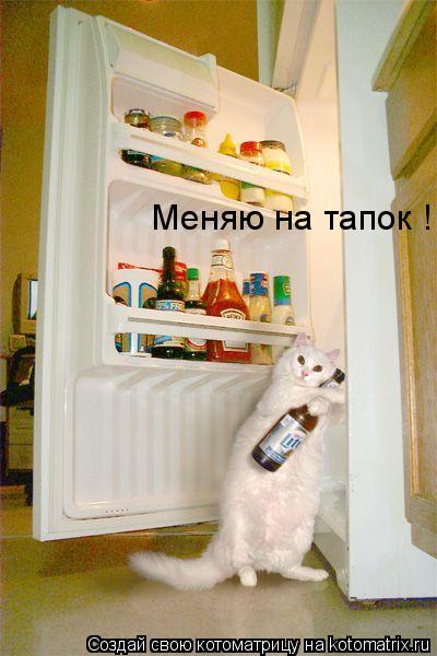 Котоматрица: Меняю на тапок !